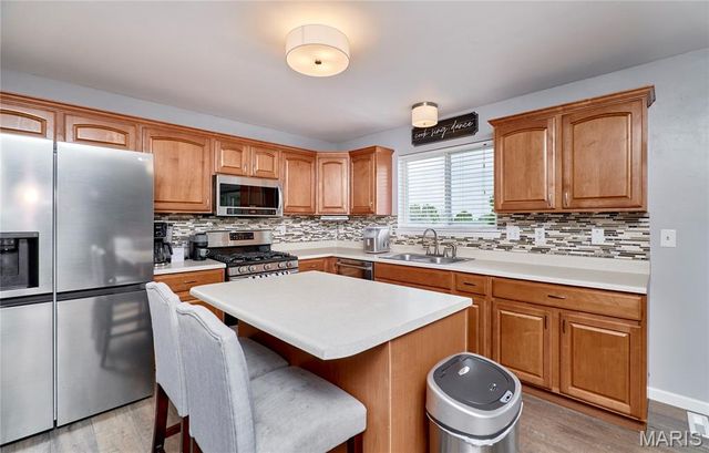 64 Old Chesapeake Drive, Wentzville, MO 63385