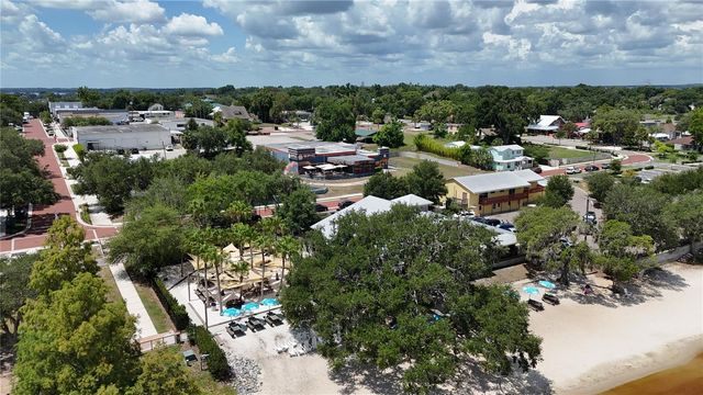 919 ARBOR HILL CIR, Minneola, FL 34715