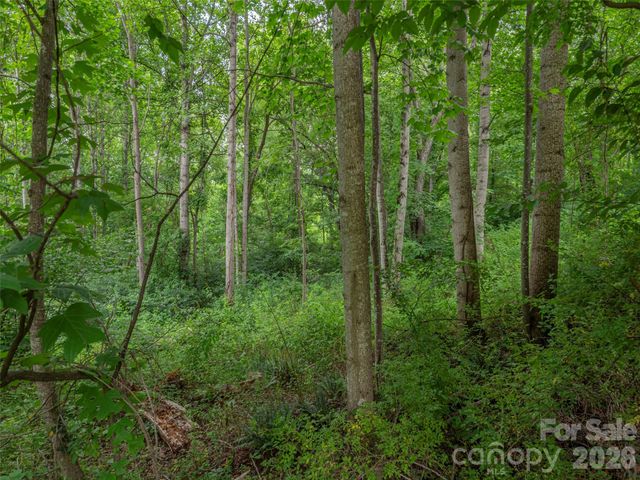 241 Clyde View Heights, Clyde, NC 28721