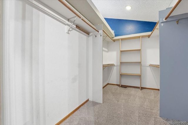 4319 W Sawmill Court, Castle Rock, CO 80109