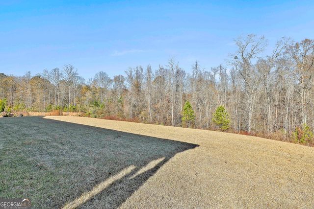 335 Werner Way, Senoia, GA 30276