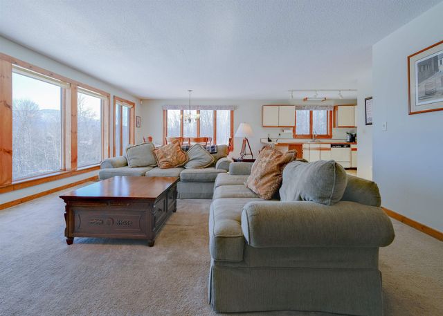 306 Hedgehog Hill Road N, Mount Holly, VT 05758