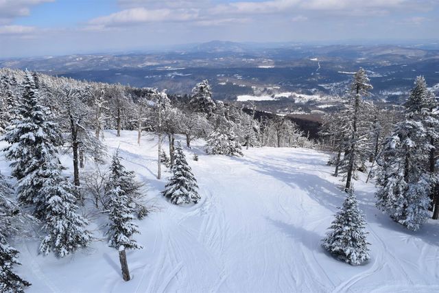 306 Hedgehog Hill Road N, Mount Holly, VT 05758