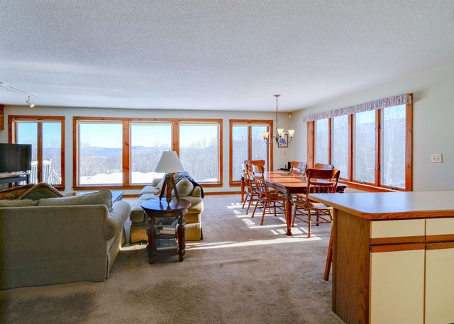 306 Hedgehog Hill Road N, Mount Holly, VT 05758