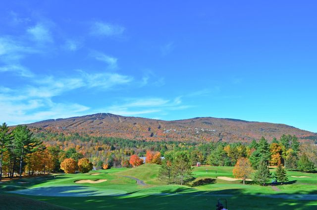 306 Hedgehog Hill Road N, Mount Holly, VT 05758