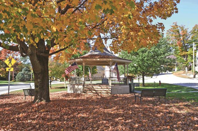 306 Hedgehog Hill Road N, Mount Holly, VT 05758