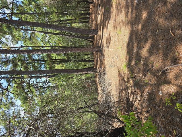 LOT 136 Akaloa DR, Bastrop, TX 78602