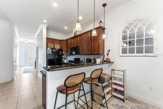 10285 VILLA PALAZZO COURT, Tampa, FL 33615