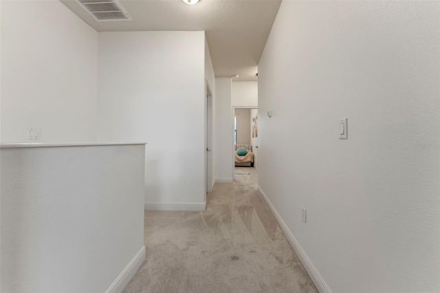 10285 VILLA PALAZZO COURT, Tampa, FL 33615
