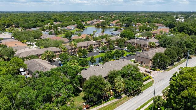 10285 VILLA PALAZZO COURT, Tampa, FL 33615