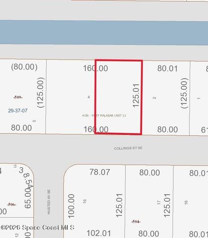 Tbd Collings Street SE, Palm Bay, FL 32909