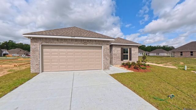 25699 Raines Ave, Denham Springs, LA 70726