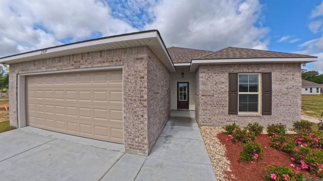 25699 Raines Ave, Denham Springs, LA 70726