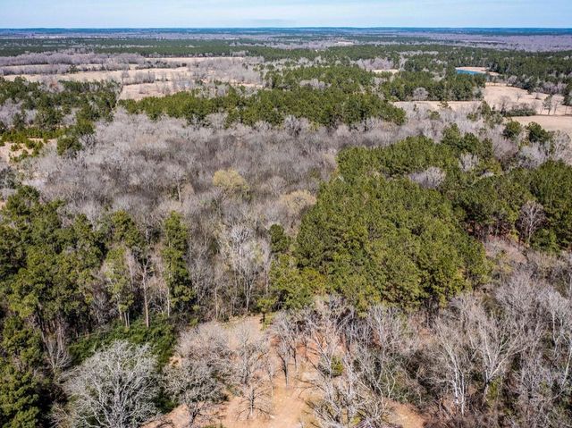 382 Sawmill Drive, Lovelady, TX 75851