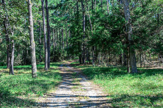 382 Sawmill Drive, Lovelady, TX 75851
