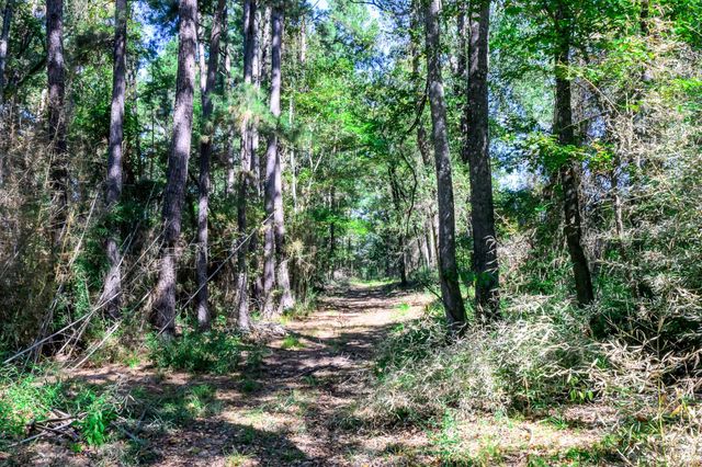 382 Sawmill Drive, Lovelady, TX 75851