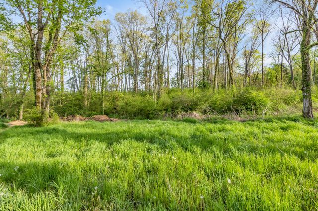 6314 McDaniel Rd, College Grove, TN 37046