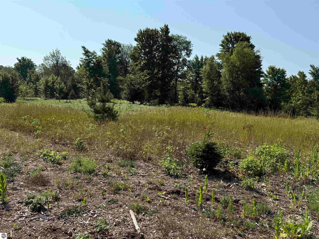Image 13 of property listing at Parcel A6 S Bright Road, Maple City, MI 49664