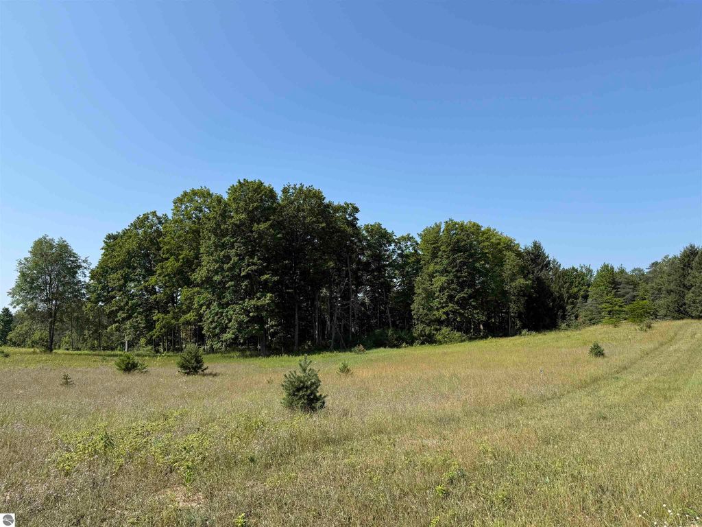 Image 14 of property listing at Parcel A6 S Bright Road, Maple City, MI 49664