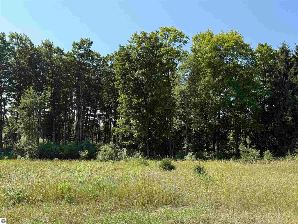 Image 16 of property listing at Parcel A6 S Bright Road, Maple City, MI 49664
