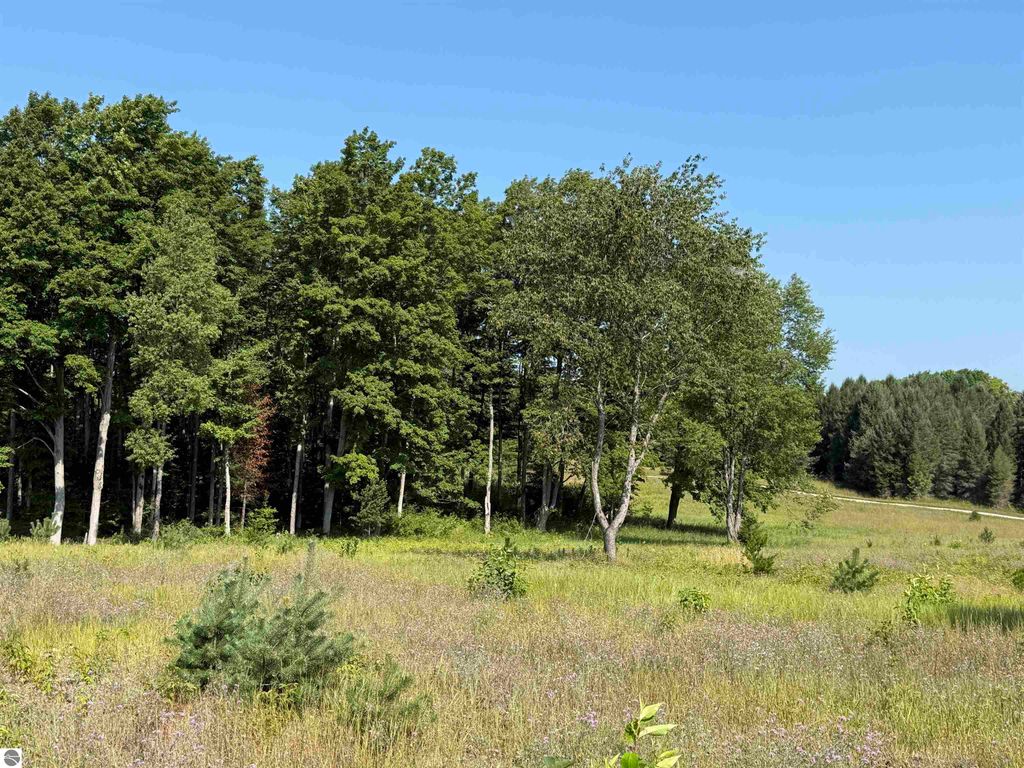 Image 4 of property listing at Parcel A6 S Bright Road, Maple City, MI 49664
