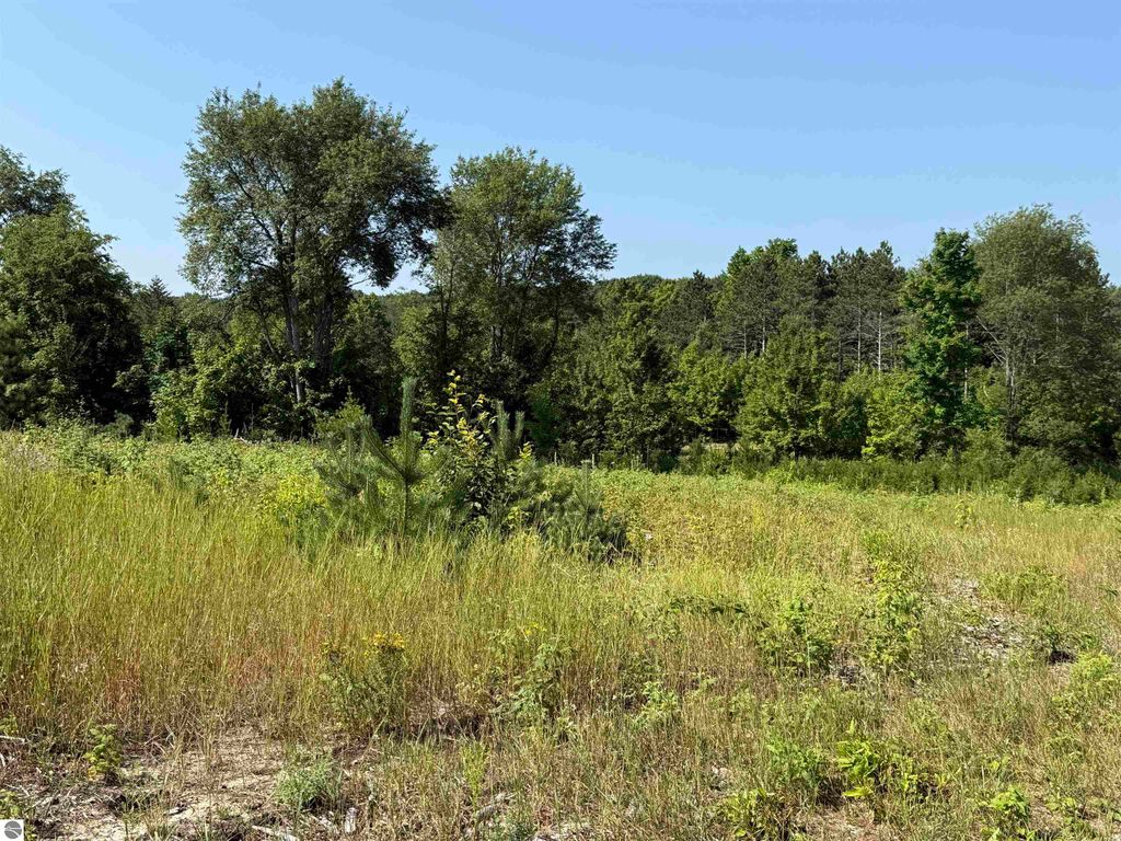 Image 7 of property listing at Parcel A6 S Bright Road, Maple City, MI 49664