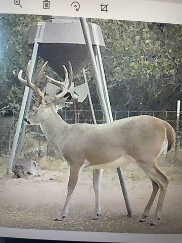 690 County Road 15560, Paris, TX 75462