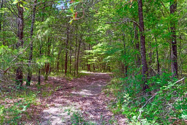 690 County Road 15560, Paris, TX 75462