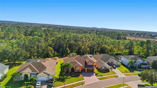11749 NEWBERRY GROVE LOOP, Riverview, FL 33579