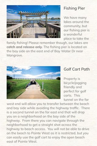 25610 Spotted Sandpiper Drive, Galveston, TX 77554