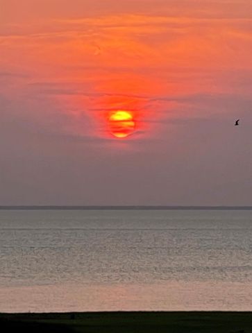 25610 Spotted Sandpiper Drive, Galveston, TX 77554