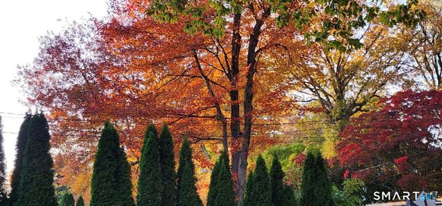 55 Merriman Road, Stamford, CT 06905