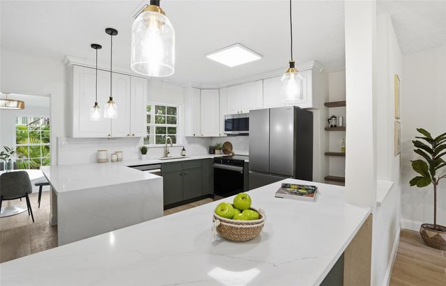 309 84TH AVENUE NE, St Petersburg, FL 33702