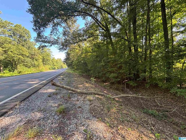 0 ALABAMA HIGHWAY 174, Springville, AL 35146
