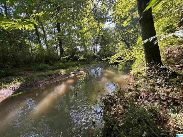 0 ALABAMA HIGHWAY 174, Springville, AL 35146