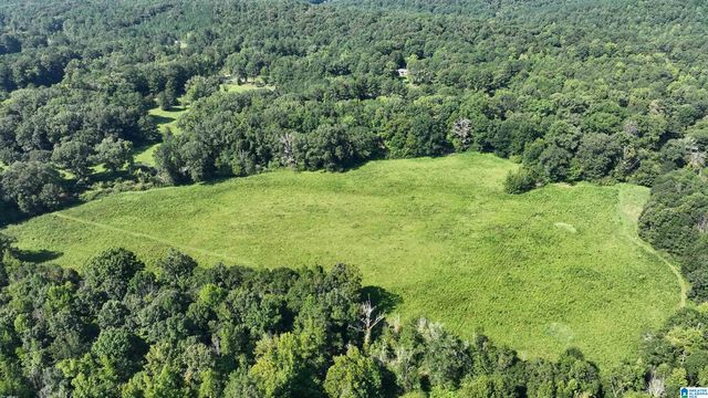 0 ALABAMA HIGHWAY 174, Springville, AL 35146