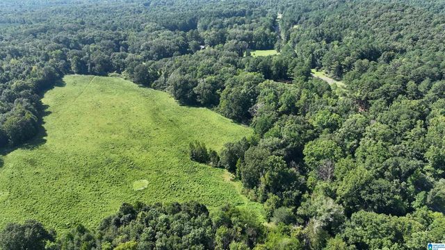 0 ALABAMA HIGHWAY 174, Springville, AL 35146