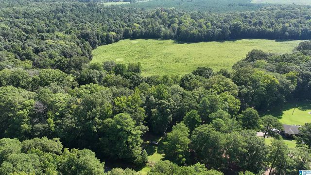 0 ALABAMA HIGHWAY 174, Springville, AL 35146