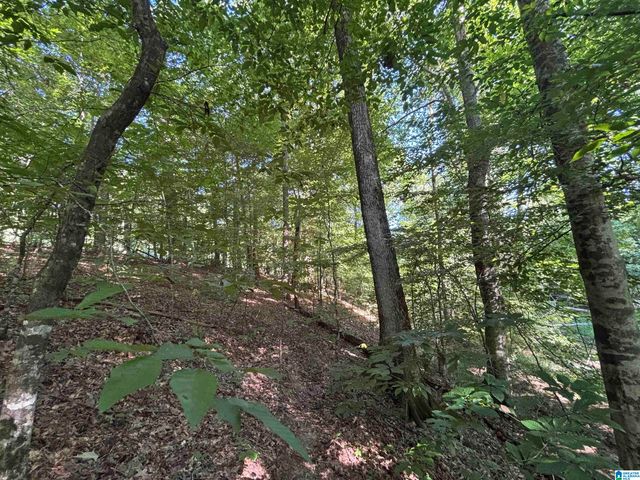 0 ALABAMA HIGHWAY 174, Springville, AL 35146