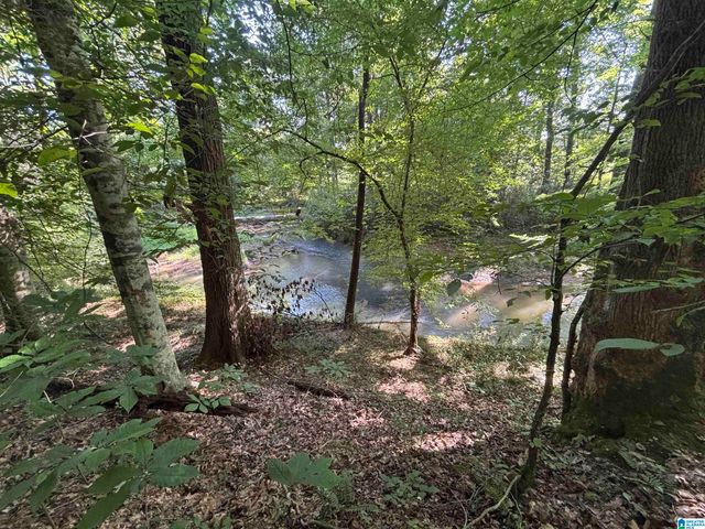 0 ALABAMA HIGHWAY 174, Springville, AL 35146