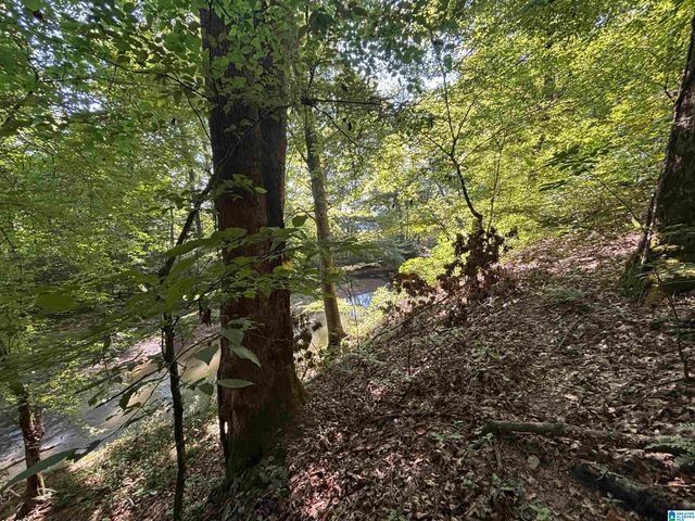 0 ALABAMA HIGHWAY 174, Springville, AL 35146