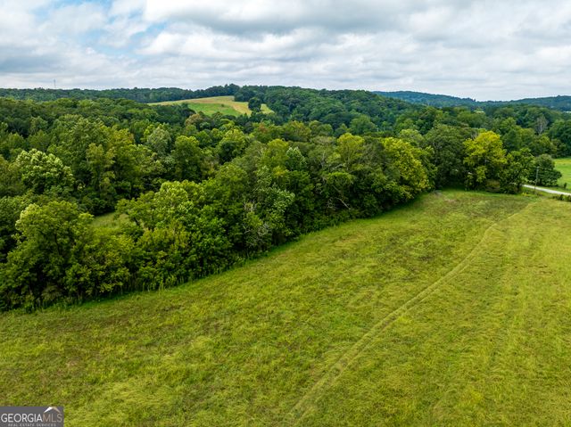 9.3 ACRES Roy Parks Road, Talmo, GA 30575