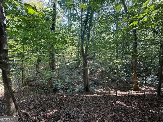 9.3 ACRES Roy Parks Road, Talmo, GA 30575