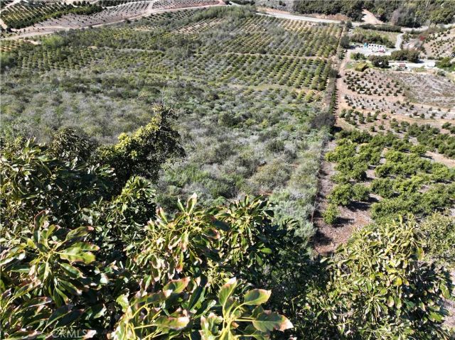 46700 El Prado, Temecula, CA 92590