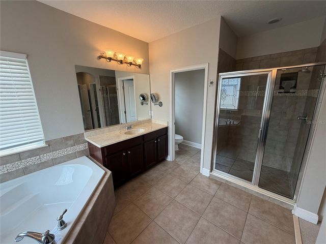 13633 RIGGS WAY, Windermere, FL 34786