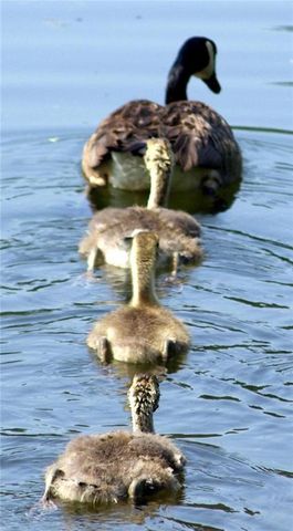 370 Kenilworth Circle, Stone Mountain, GA 30083