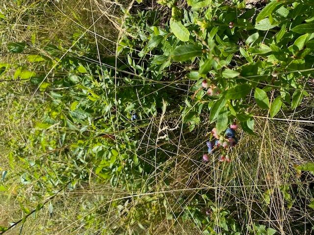 777 W Lincoln Avenue, White Cloud, MI 49349