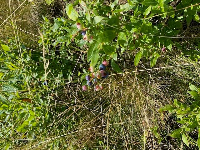 777 W Lincoln Avenue, White Cloud, MI 49349