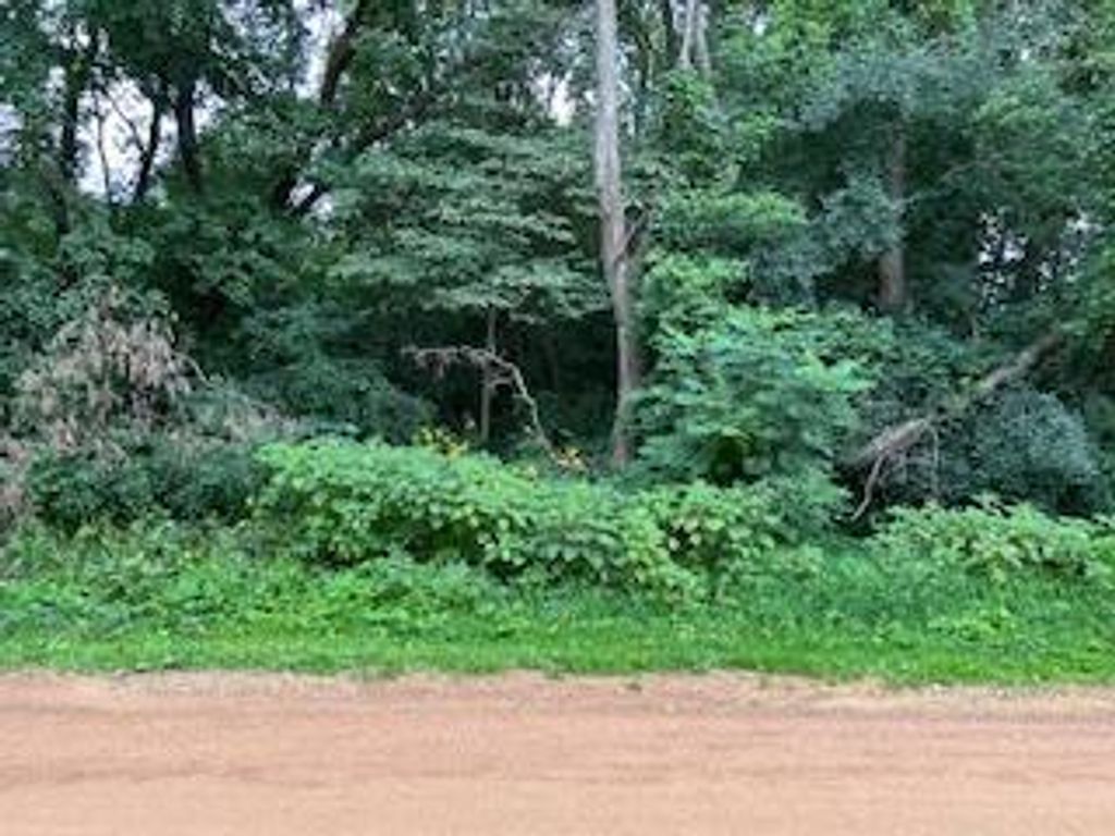 TBD W Main St, Independence, MN 55359