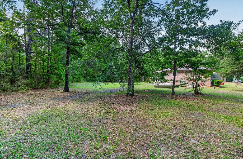 Image 40 of property listing at 1105 County Line Road, Cross, SC 29436